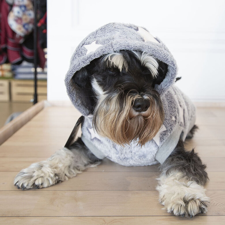 Outech Fleece Camisola Cinza com Estampa de Estrelas para cães, , large image number null